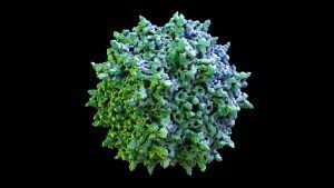 Viral-Vectored Gene Therapies: Harnessing Their Potential Through Scalable, Reproducible Manufacturing Processes Resource