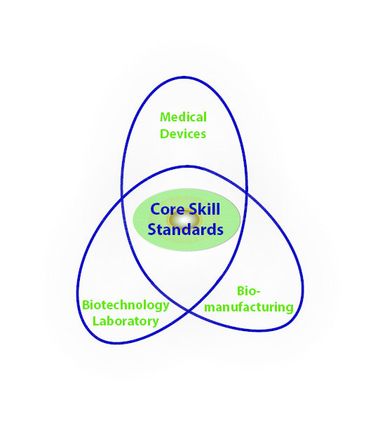 Core Bioscience Skill Standards
