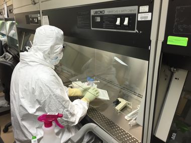 mini-BIOMAN Conferences