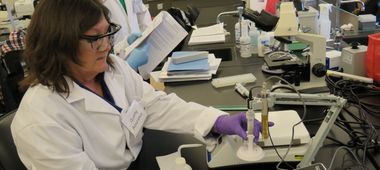 2013 NBC2 Biomanufacturing Key Activities - Manufacturing Technician, Quality Control, Maintenance and Instrumentation Technician