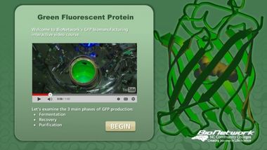 GFP biomanufacturing interactive video course