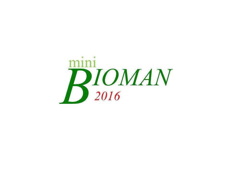 mini-BIOMAN 2016 Agenda