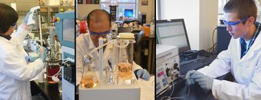 Biomanufacture of Monoclonal Antibodies