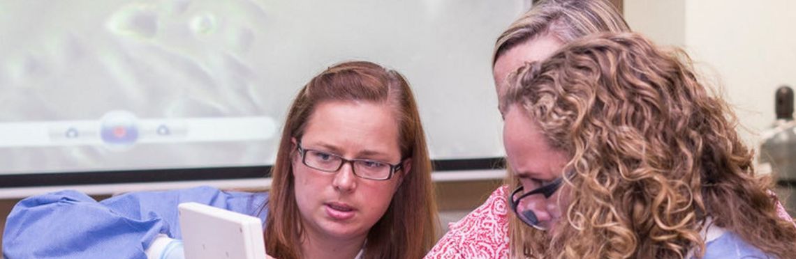 2017 Bio-Link Summer Fellows Forum