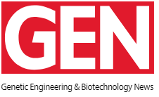 Manufacturing of AAV Vectors for Gene Therapy