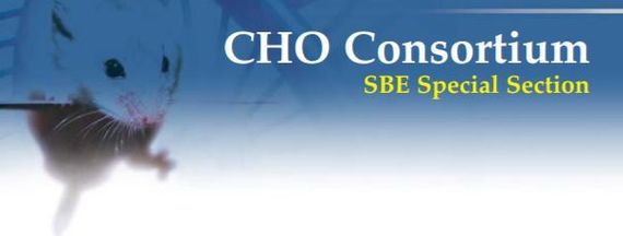 Recombinant Protein Therapeutics from CHO Cells- 20 years and Counting