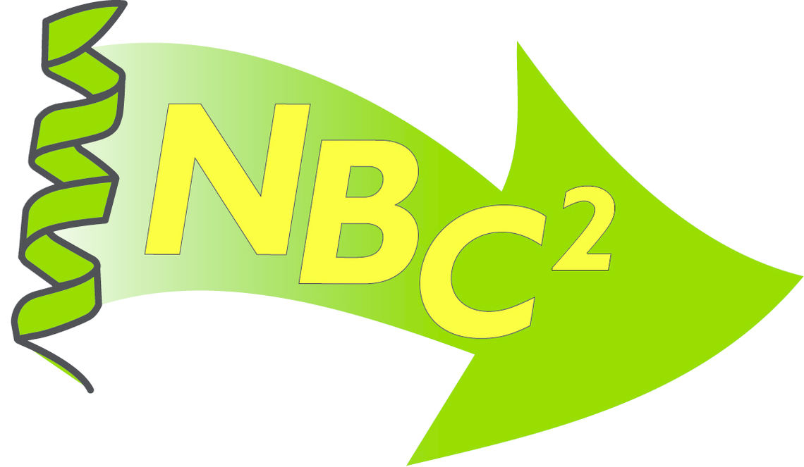 nbc2 logo